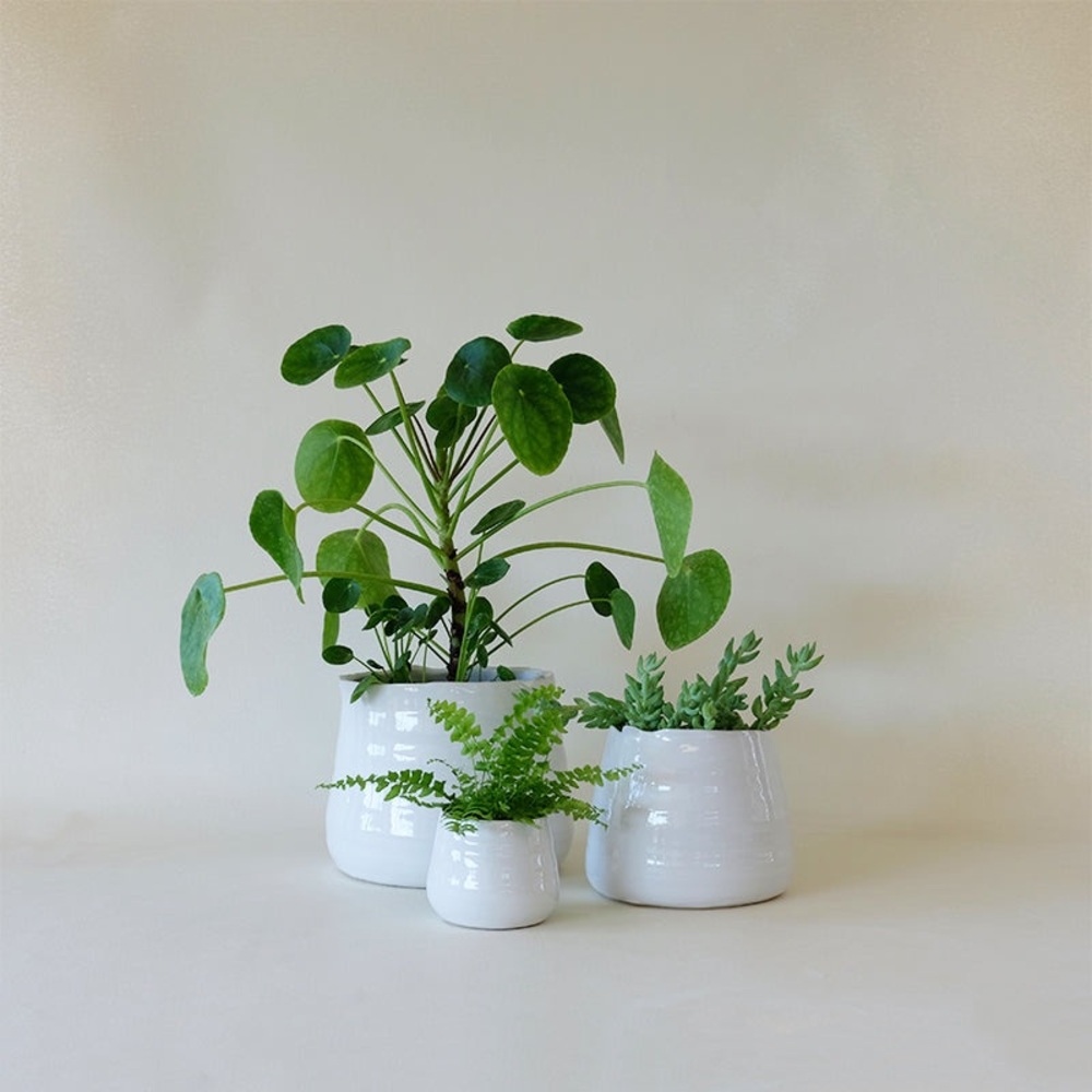 Modern organic White Ceramic Vase - Picture 3 of 8